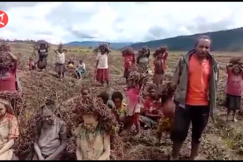 BPBD Papua bentuk tim tanggap darurat cuaca ekstrem Lanny Jaya