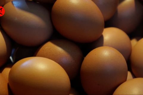 Harga telur tembus Rp33 ribu, Pemkot Bandung jajaki operasi pasar