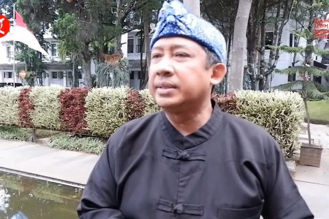 Wali Kota sebut penganiayaan kucing di Bandung harusnya tidak terjadi