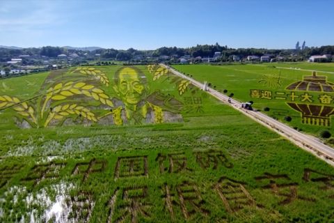 Potret raksasa Yuan Longping dilukis dengan padi di Hunan