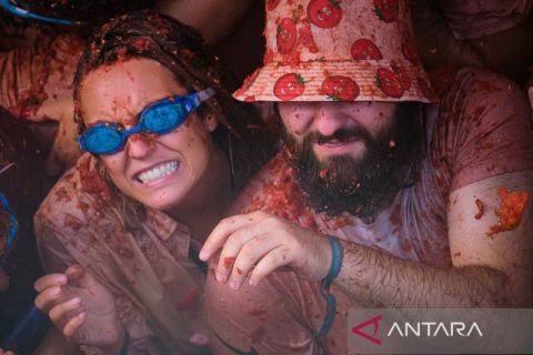 Festival perang tomat di Spanyol