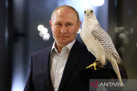 Aksi falconry Presiden Putin