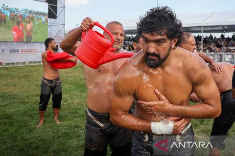 Festival Gulat Minyak Ulugazi