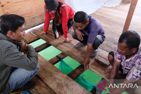 PT PLN BERI BANTUAN BUDIDAYA LOBSTER DI BAUBAU