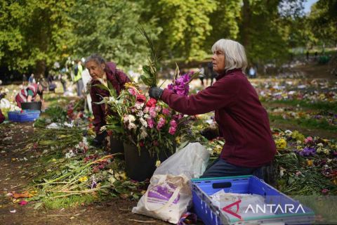 Karangan bunga untuk mendiang Ratu Elizabeth II dikomposkan