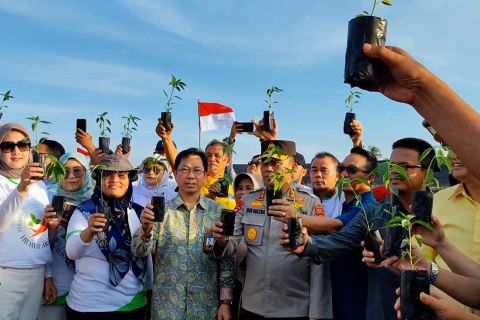 BI Babel gelar teknis penanaman Cabai