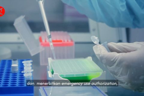 BPOM terbitkan izin penggunaan darurat vaksin Indovac dan AWcorna