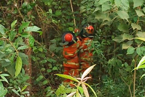 Dampak cuaca, petugas damkar terima banyak laporan evakuasi hewan