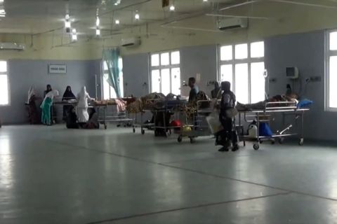 Kemenkes RI catat ada 91 kasus kumulatif dugaan hepatitis akut