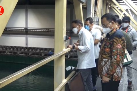 Kemenpora gandeng BRIN dan akademisi tingkatkan performa atlet