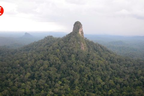 KLHK perkuat pencapaian FOLU Net Sink di Kalteng