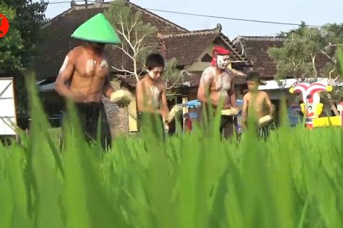 Mengenal tradisi sedekah bumi oleh petani di Klaten
