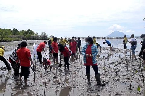 Pemberdayaan masyarakat pesisir dalam konservasi hutan bakau