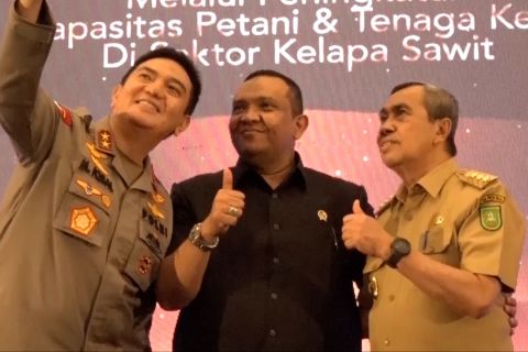 Kemnaker fokus pada keselamatan kerja dan upah buruh sawit Riau