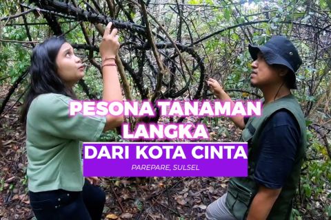 Pesona tanaman langka dari Kota Cinta