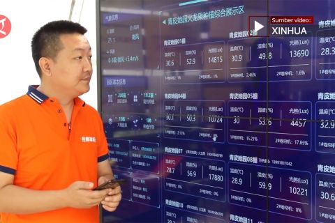 Rumah kaca cerdas di China barat laut wujudkan pertanian pintar