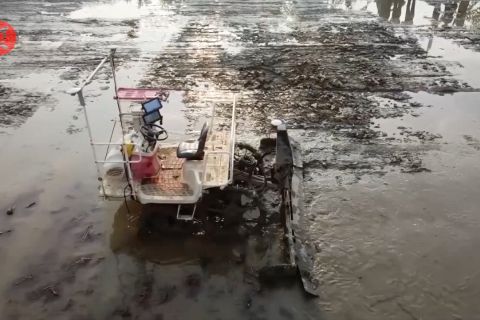 Teknologi pintar dorong transformasi panen di Guizhou, China