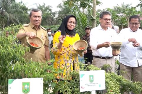 Subsidi ongkos angkut untuk tekan inflasi pangan