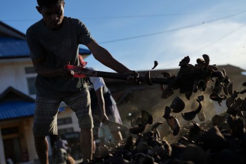 HARGA KOPRA TURUN DRASTIS