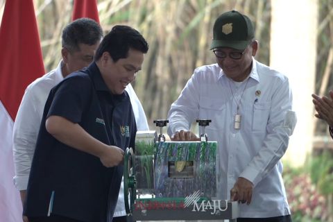 Jaga ketahanan pangan dan energi, Kementerian BUMN bentuk Sugar Co