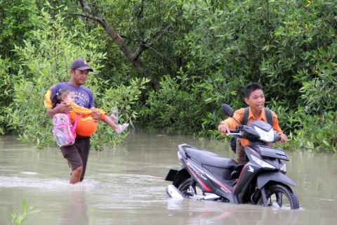 FOTO - Banjir rob di Rokan Hilir