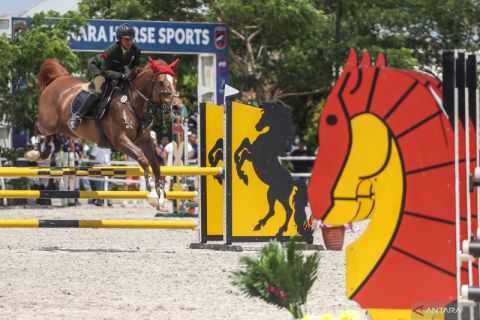 Katagori palang rintang di Festival Berkuda