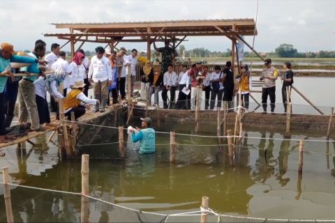 Pemkab Batang ubah lahan rob jadi tambak ikan