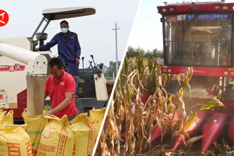 Mudahnya bertani dengan mesin-mesin pintar