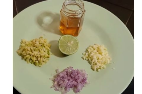 Hindari gagal ginjal, ini kiat ramu herbal untuk anak