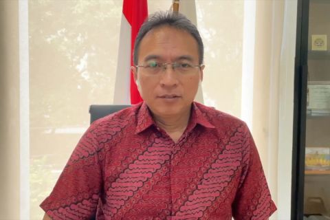 Ini imbauan IDAI terkait gangguan ginjal akut progresif atipikal