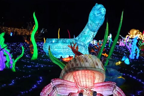 Kebun binatang di Paris akan gelar pertunjukan cahaya skala besar