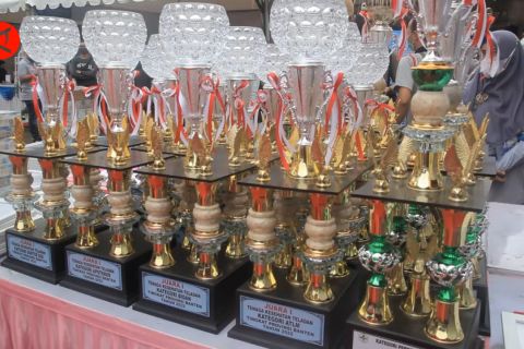 Pandeglang boyong 6 penghargaan bidang kesehatan dari Pemprov Banten