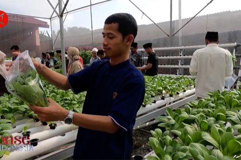 Mewujudkan kemandirian ekonomi pesantren (2)