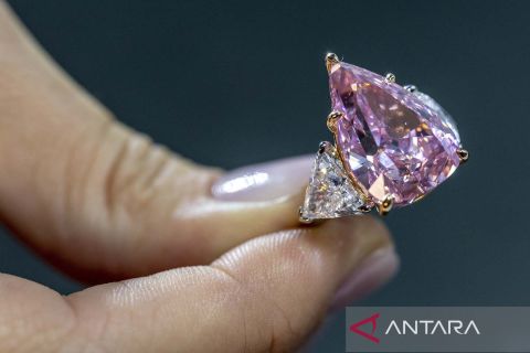 Kilau berlian Fortune Pink seharga 30 juta dolar AS