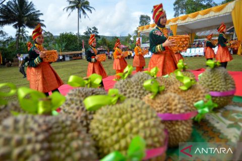 Festival galiek durian di Tanah Datar