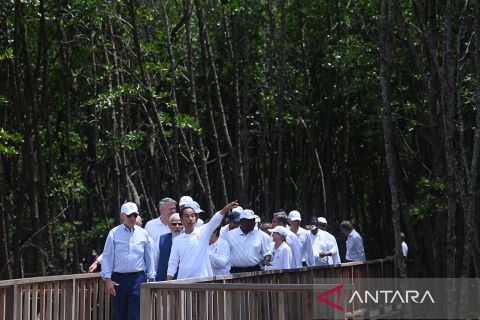Momen pemimpin negara G20 berkeliling Tahura Ngurah Rai