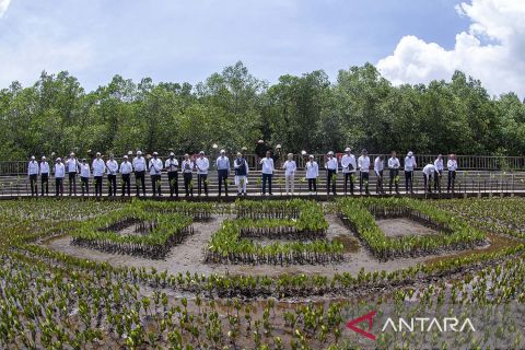 Presiden Jokowi ajak para pemimpin negara G20 menanam mangrove