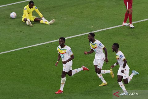 Piala Dunia 2022 : Senegal libas tuan rumah Qatar 3-1