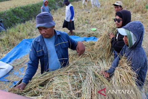 Target Penambahan Sejuta Petani Milenial