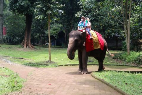 Kebun binatang Bandung resmi jadi aset milik pemerintah