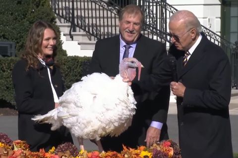 Biden beri ampunan dua kalkun Thanksgiving