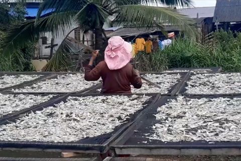 BMKG Belawan imbau pelaku usaha ikan asin optimalkan informasi cuaca