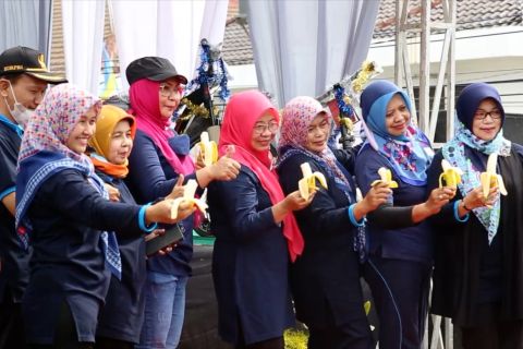 Bupati Irna minta kader posyandu semangat tekan stunting