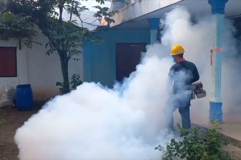 Empat desa di Ngawi diserang chikungunya