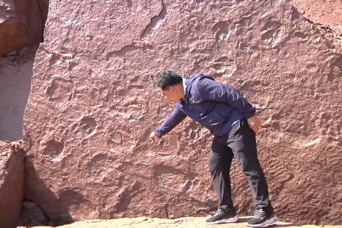 Fosil jejak kaki dinosaurus langka ditemukan di China timur