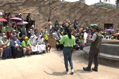 Hari pertama dibuka, lebih dari 500 tiket Jakarta Bird Land ludes