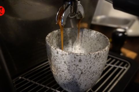 Konservasi kukang jadi cara jitu Pertamina berdayakan UKM Kopi