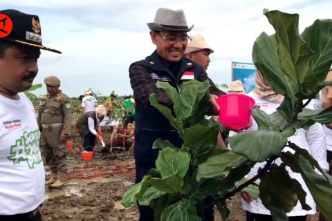 Majalengka canangkan Tanam Sejuta Pohon secara serentak
