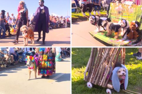 Parade Halloween untuk anjing digelar di Los Angeles