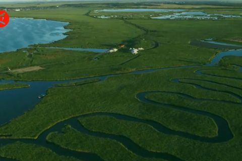 Pemandangan menakjubkan lahan basah rawa alang-alang terbesar di China